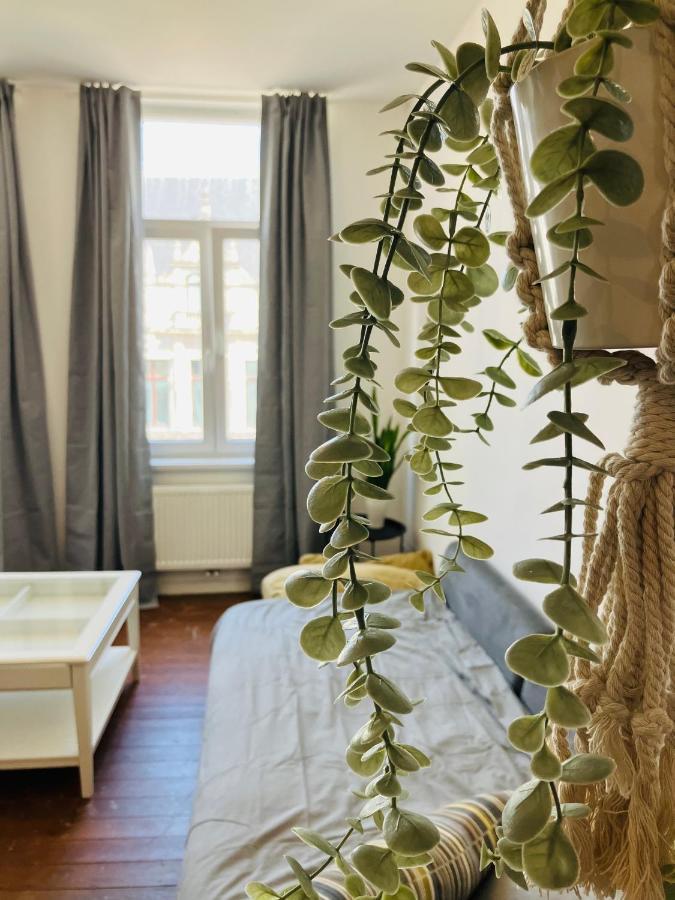 Bnb Hotel Suikernest أنتويرب المظهر الخارجي الصورة