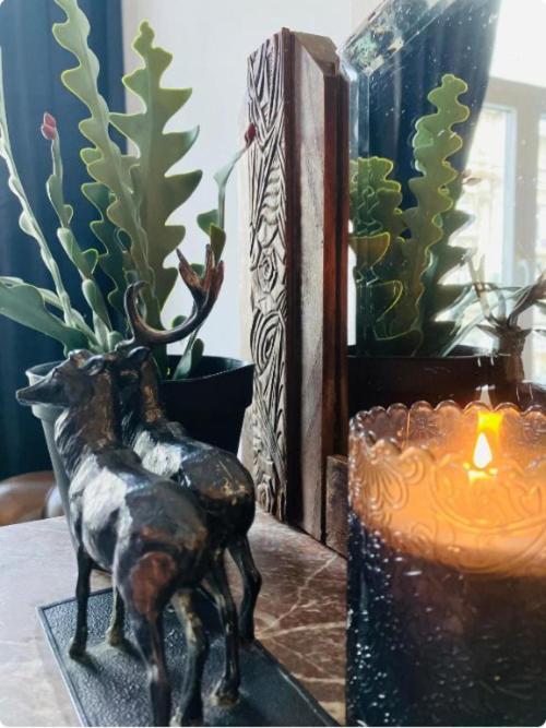 Bnb Hotel Suikernest أنتويرب المظهر الخارجي الصورة